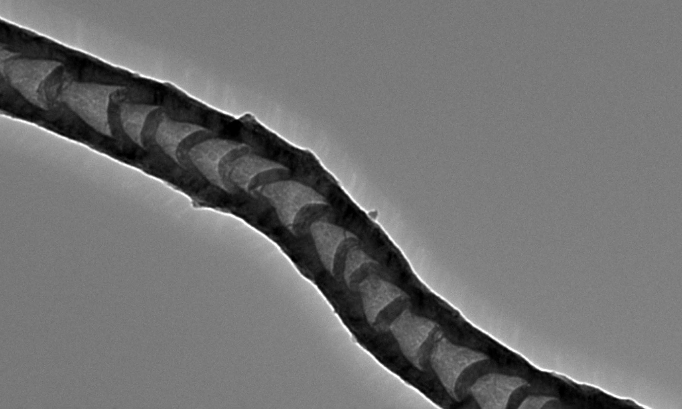Magnified image of a carbon nanotube created through the new upcycling method.