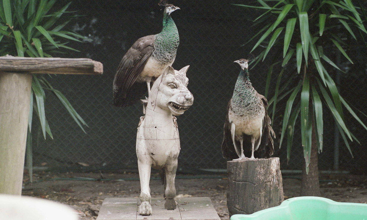 Anu Kumar 1220 x 732