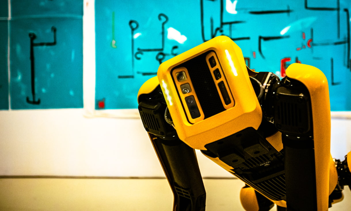 the robot dog looks into the camera in front of the wall of art