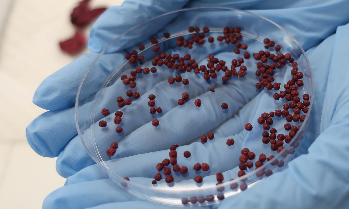 Roselle beads closer