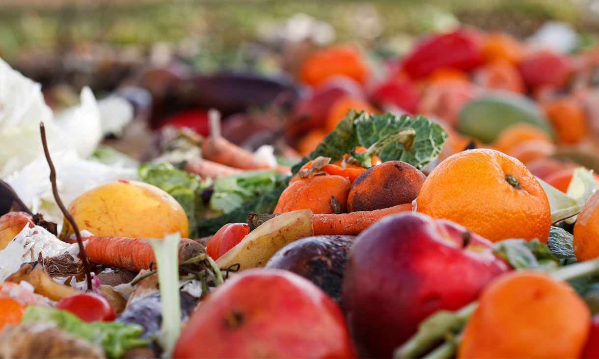 A big pile of rotting fruit and vegetables.