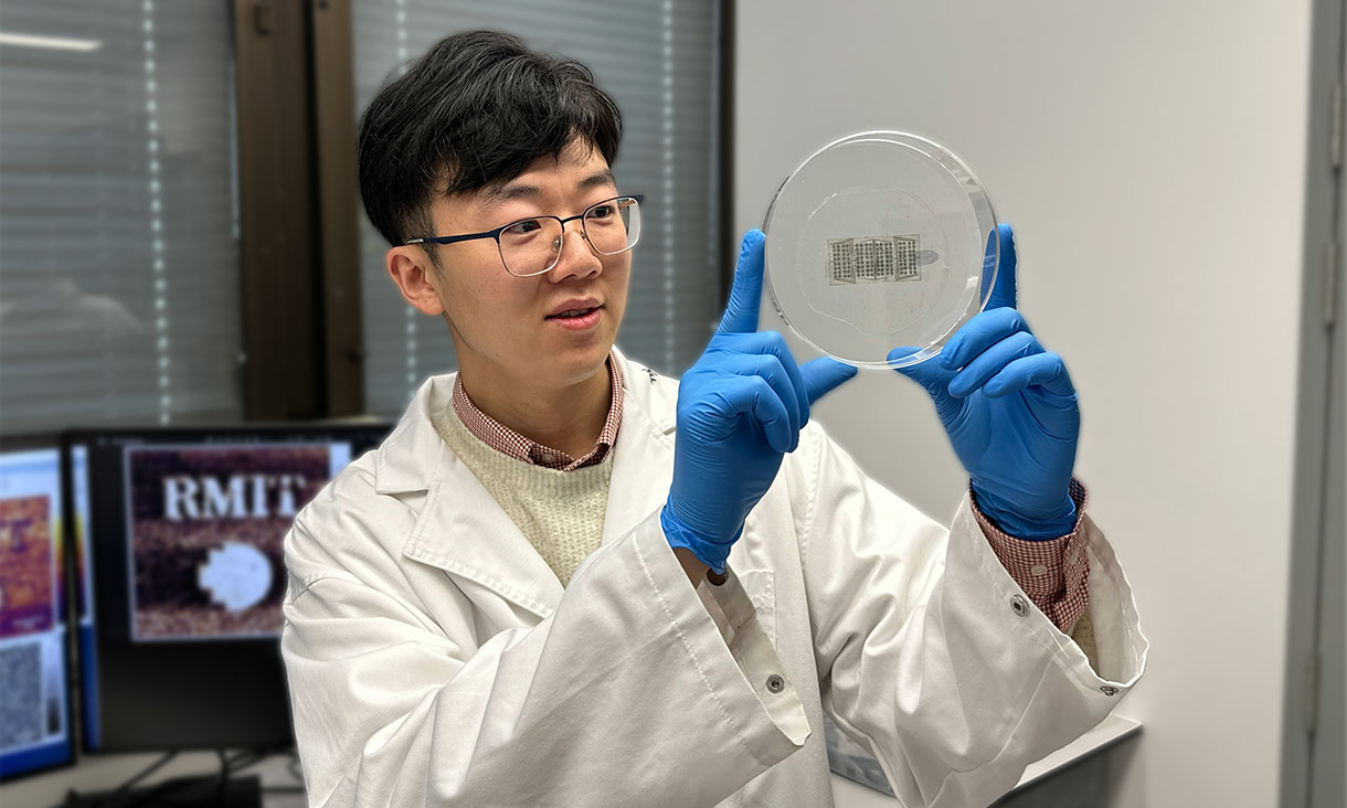 PhD scholar Xiangyang Guo holding the wearable device in a petri dish in the team's lab at RMIT University. Credit: Seamus Daniel, RMIT University