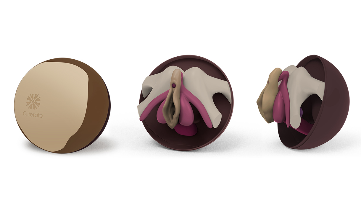All the different sections of Cliterate, a pull apart model of the vulva.