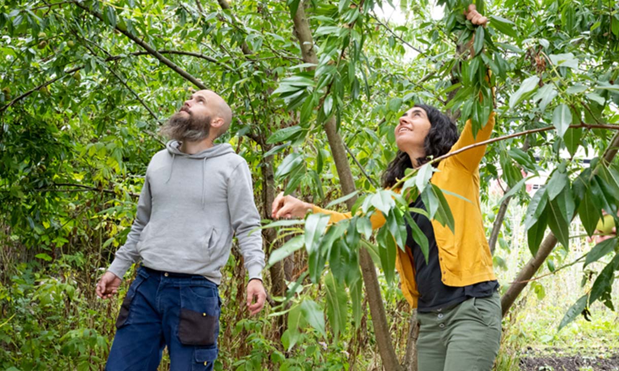 news-edicitnet-thumbnail-1220px