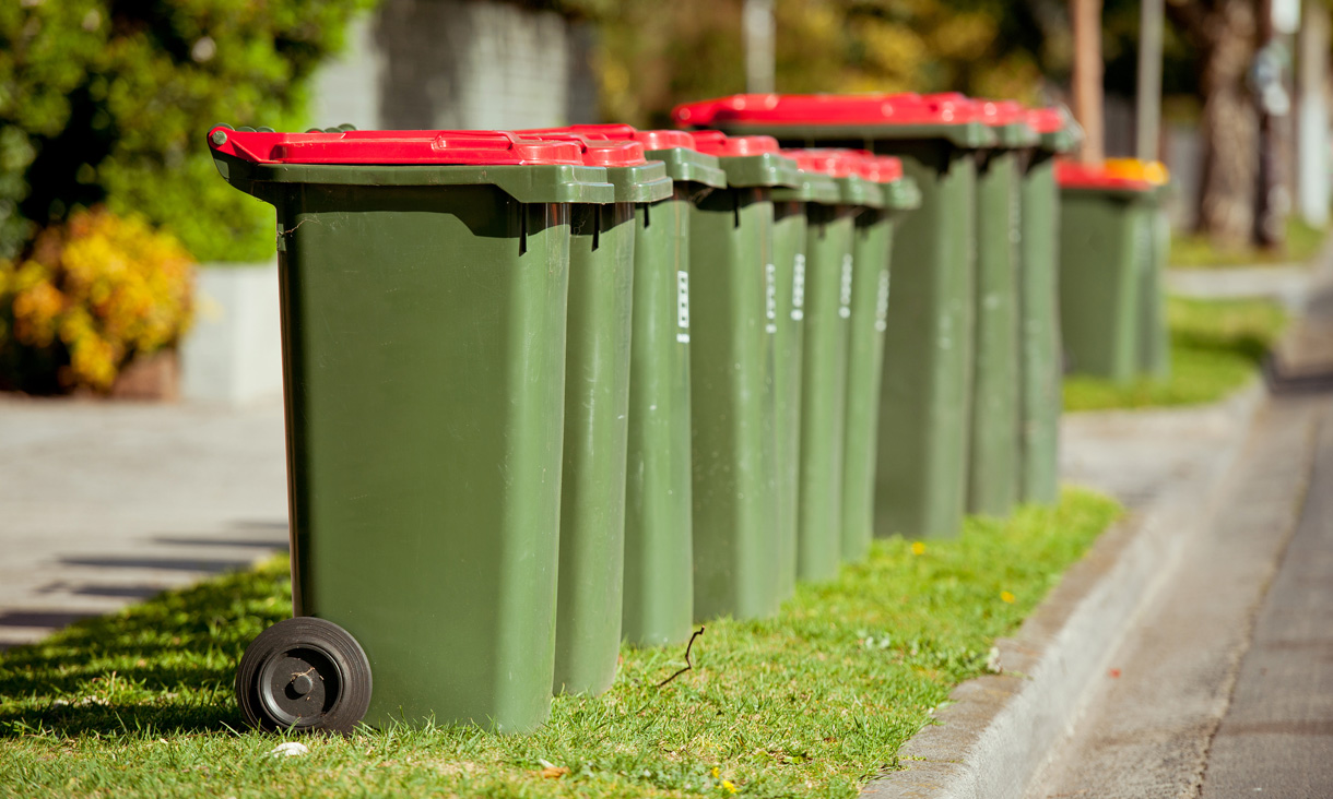 Multiple wheelie bins on the nature strip, ready to be emptied.