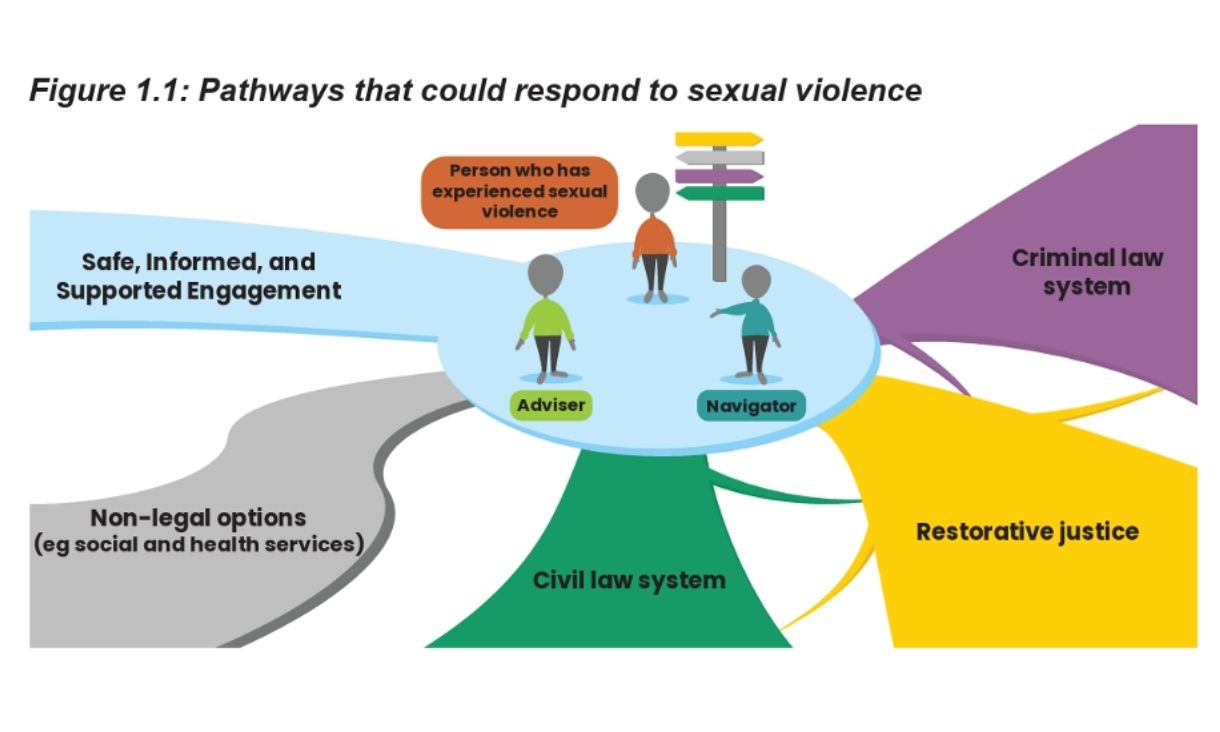 Figure from report showing pathways that could respond to sexual violence.