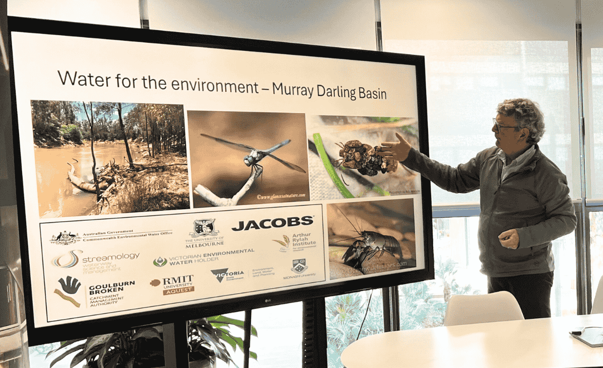 A person is presenting in front of a screen displaying a slide titled "Water for the environment – Murray Darling Basin," with images of nature and various logos.