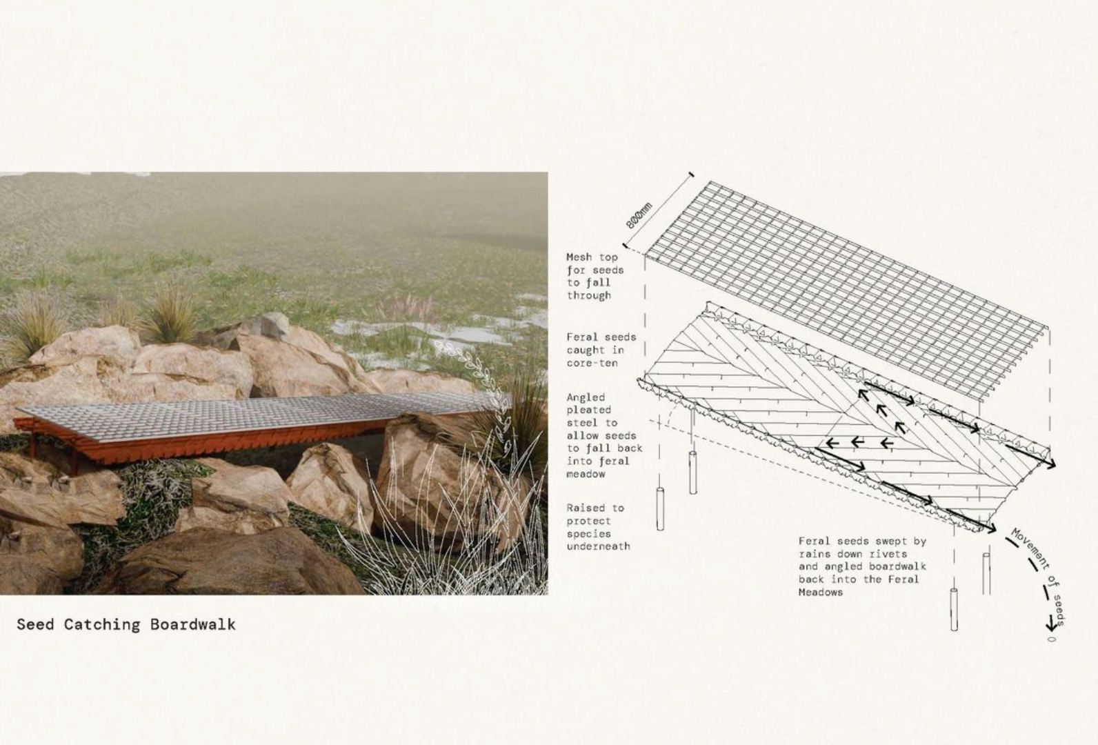 A sloped seed catching boardwalk designed for every campsite catches the invasive seeds from the hikers. The seeds are washed down back into the feral meadows with the next rain, allowing the native species a shot at survival.