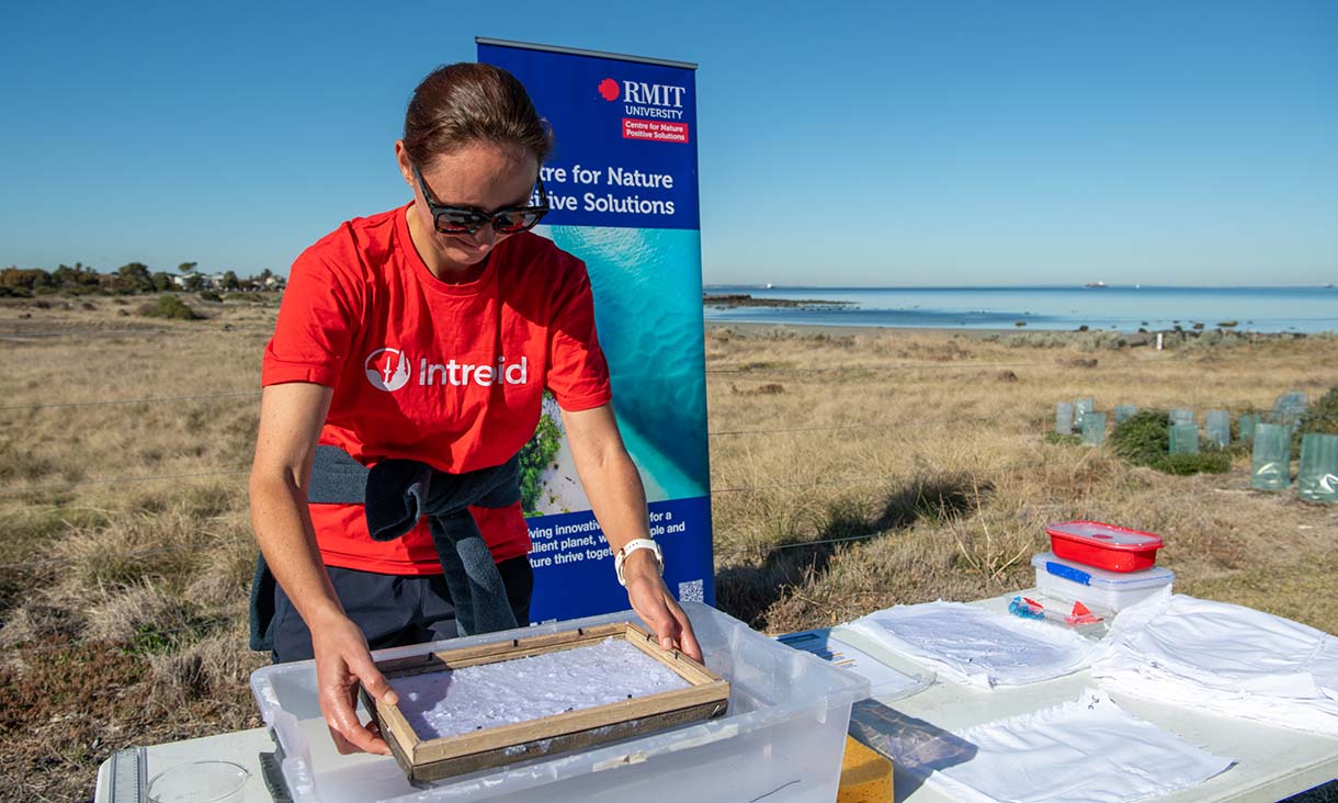 A person wearing a red Intrepid shirt is engaged in an outdoor activity using a frame submerged in a container, with a banner from the RMIT Centre for Nature Positive Solutions nearby.