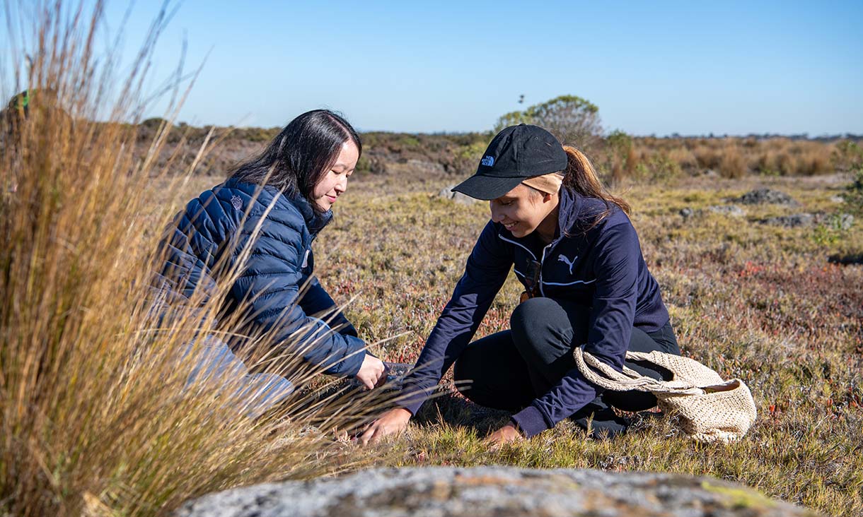 Two people crouching in a field, examining the ground with a bag beside them, surrounded by natural vegetation.