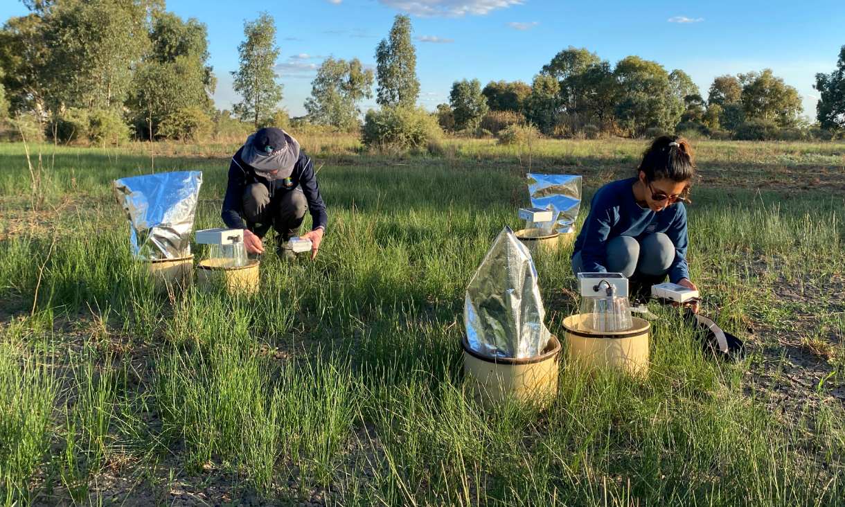 news-wetland-restoration-1220x732px