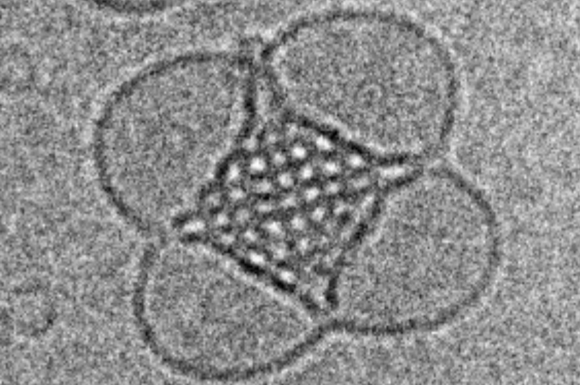 A cubosome nanoparticle magnified more than 30,000 times, showing its lipids self-assembled into a cubic structure.