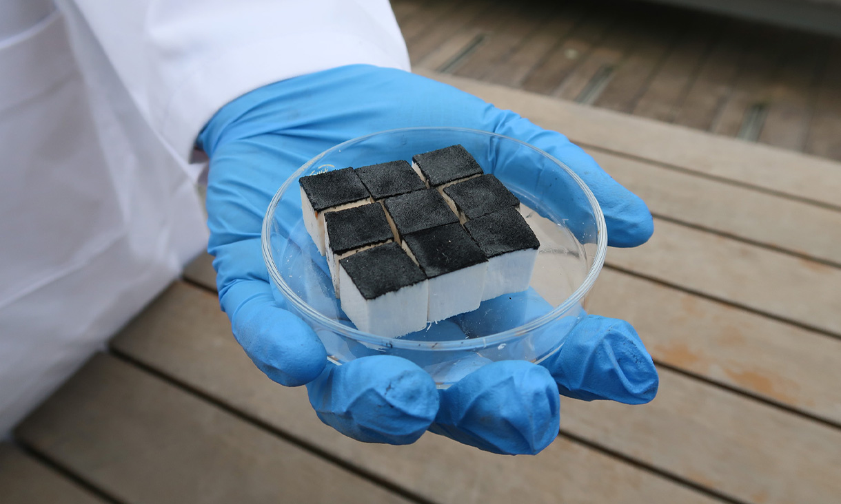 A blue gloved hand holds a glass dish with nine cubes inside.