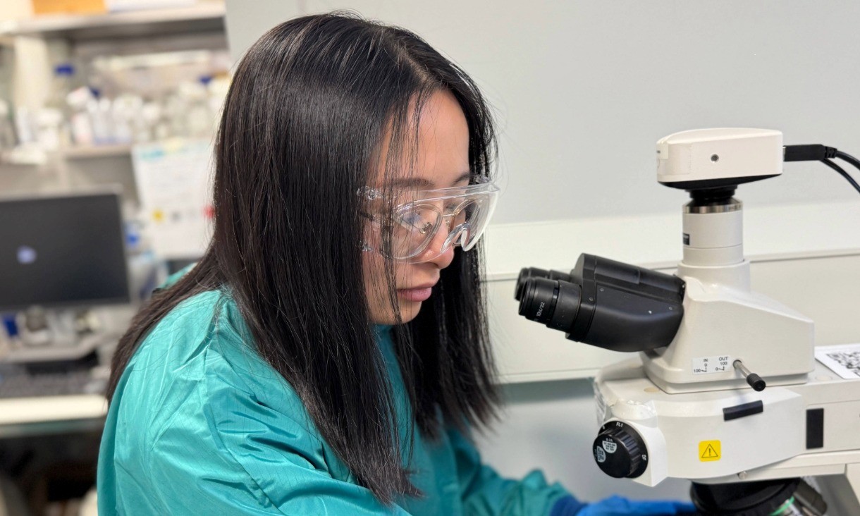 Dr Baoyue Zhang, wearing a teal lab gown and clear safety glasses, looks through a microscope in a laboratory.