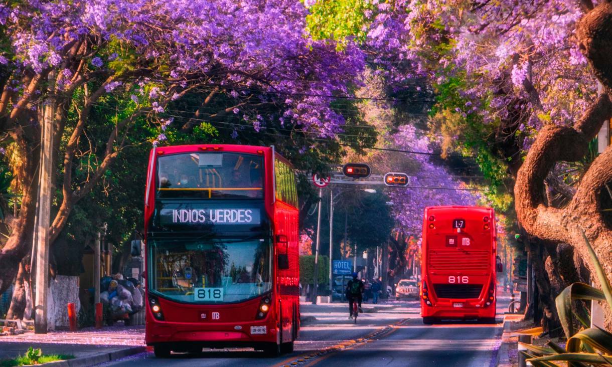 Rapid transit bus in Mexico City. Credit: Ivan Israel Cruz Flores.