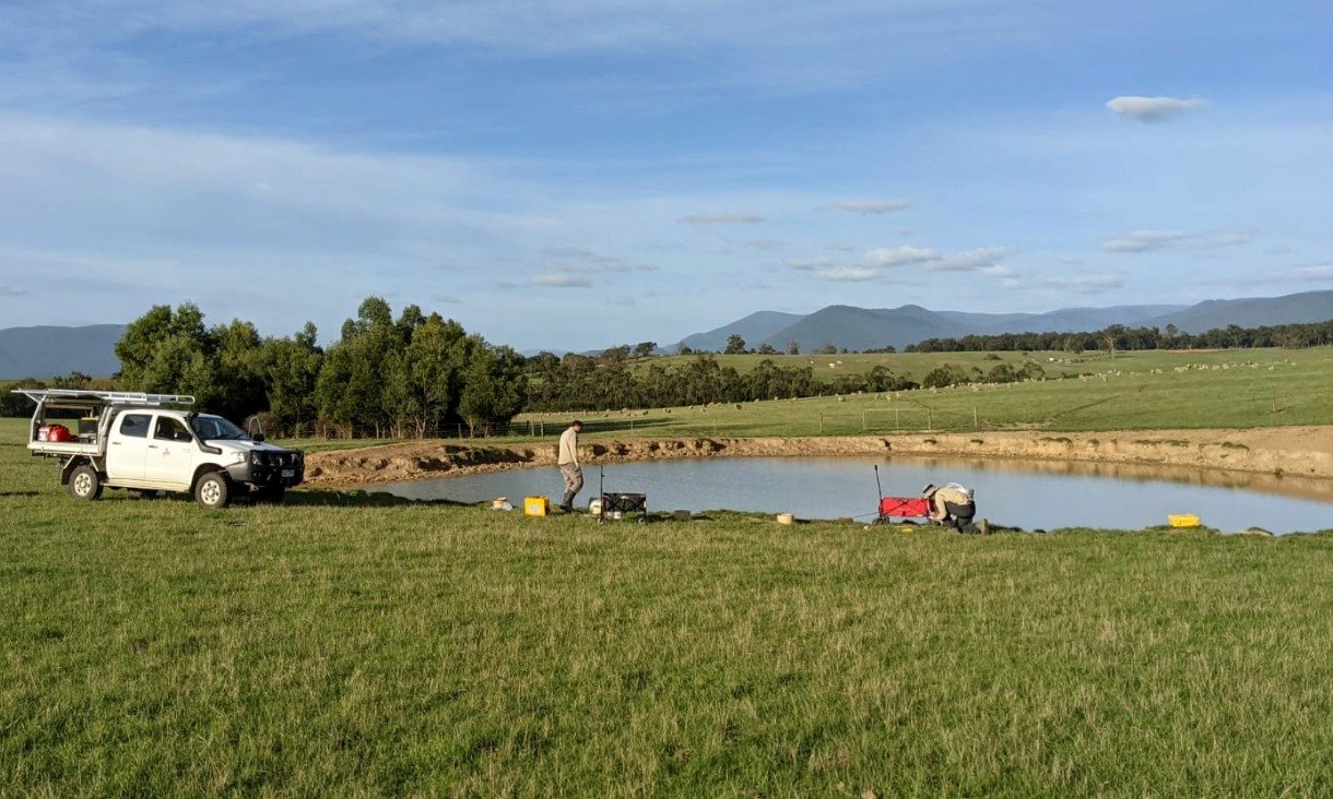 A farm dam.