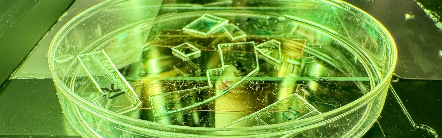 Plastic Texturing Kills Viruses When They Land