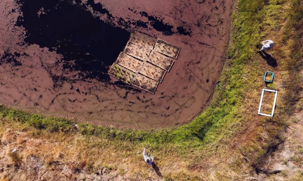 Researchers inspecting a floating wetland.