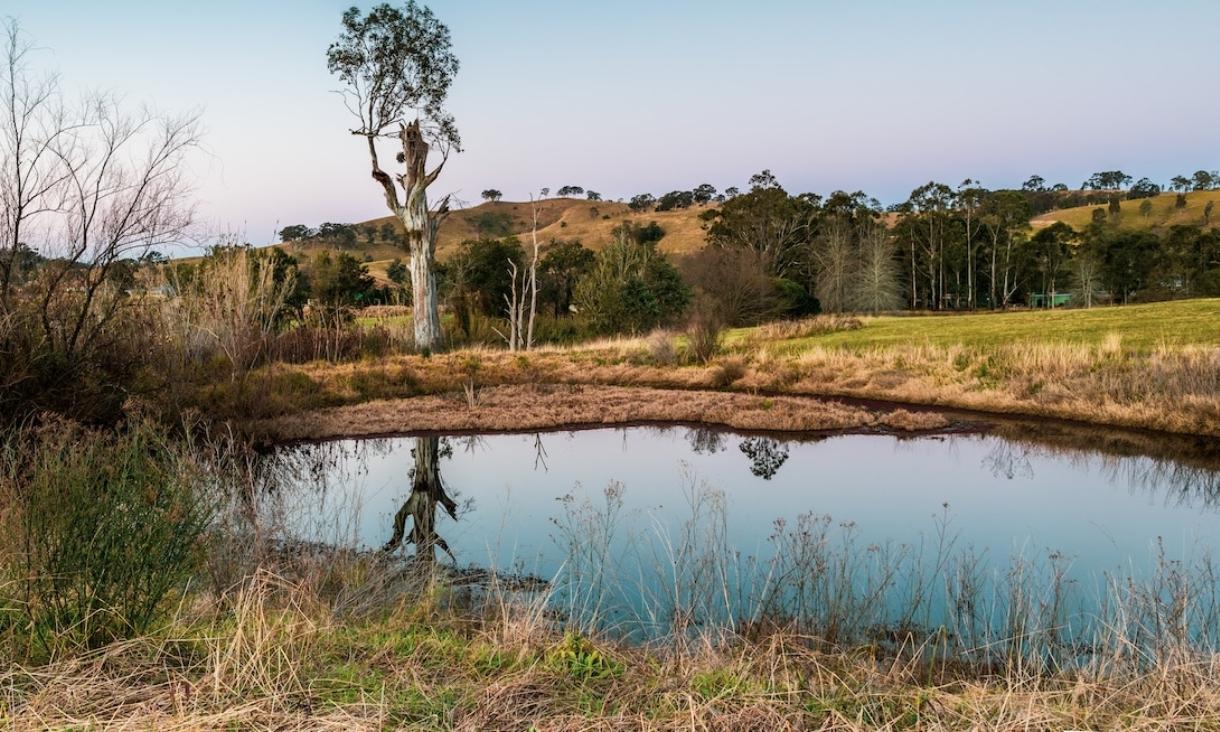 Floating Wetlands Trial Boosts Bass Coast Farms