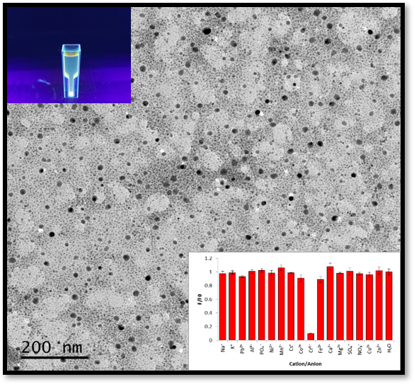 Transmission electron microscope image of carbon dots capable of sensing hexavalent chromium.