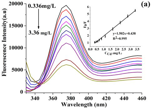(b) Linear relationship between fluorescence intensity and Cu²⁺ concentration