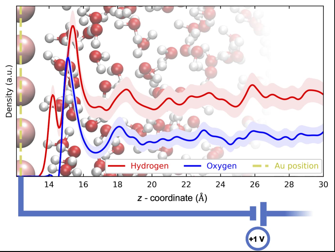 Quantum mechanics (QM)/molecular mechanics (MM) molecular dynamics simulation of the Au/H2O interface