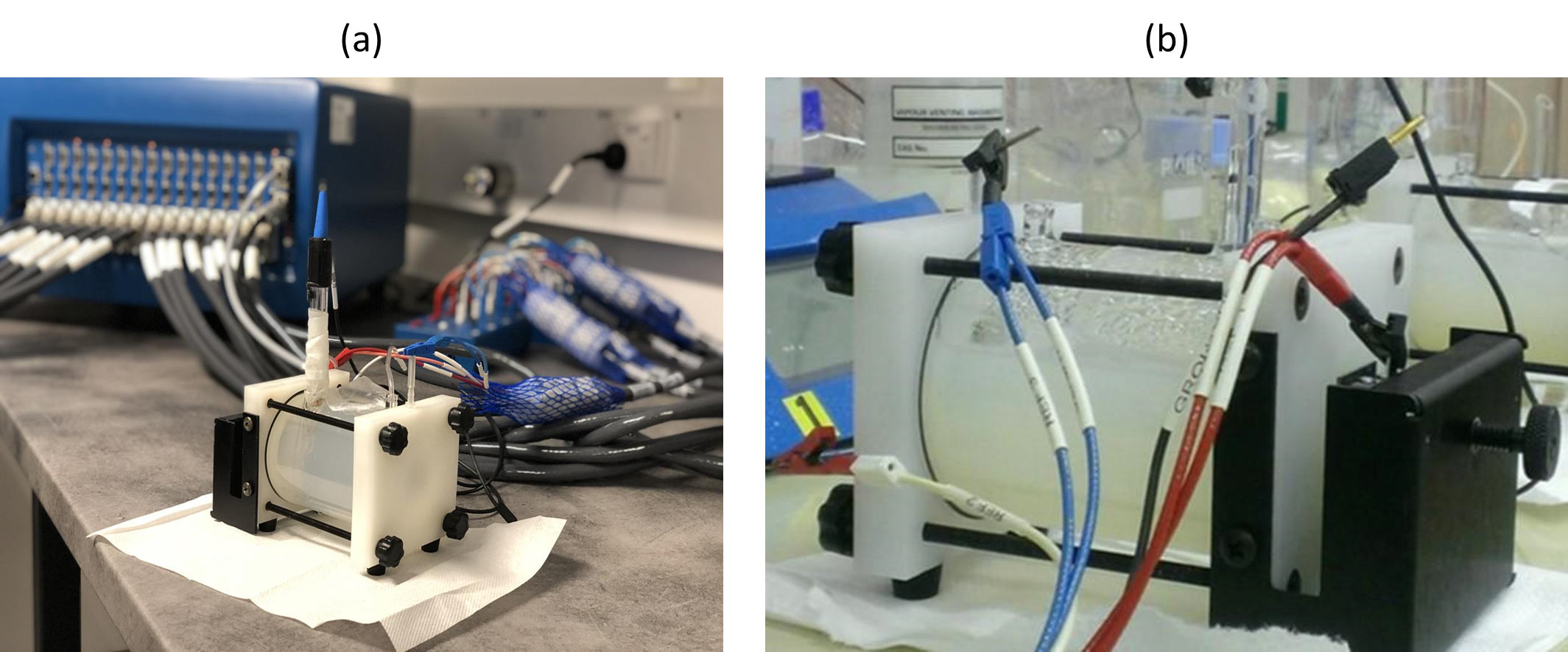 Figure 2: (a) Three-electrode corrosion cell and potentiostat for electrochemical corrosion studies, and (b) close-up view of cell chamber