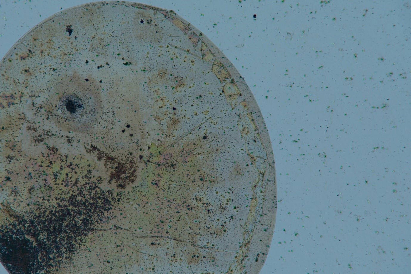 Figure 1: Corrosion events on the droplet site (2 microlitre) size