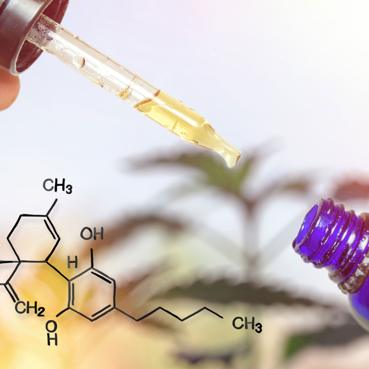CBD-oil-sq.jpg