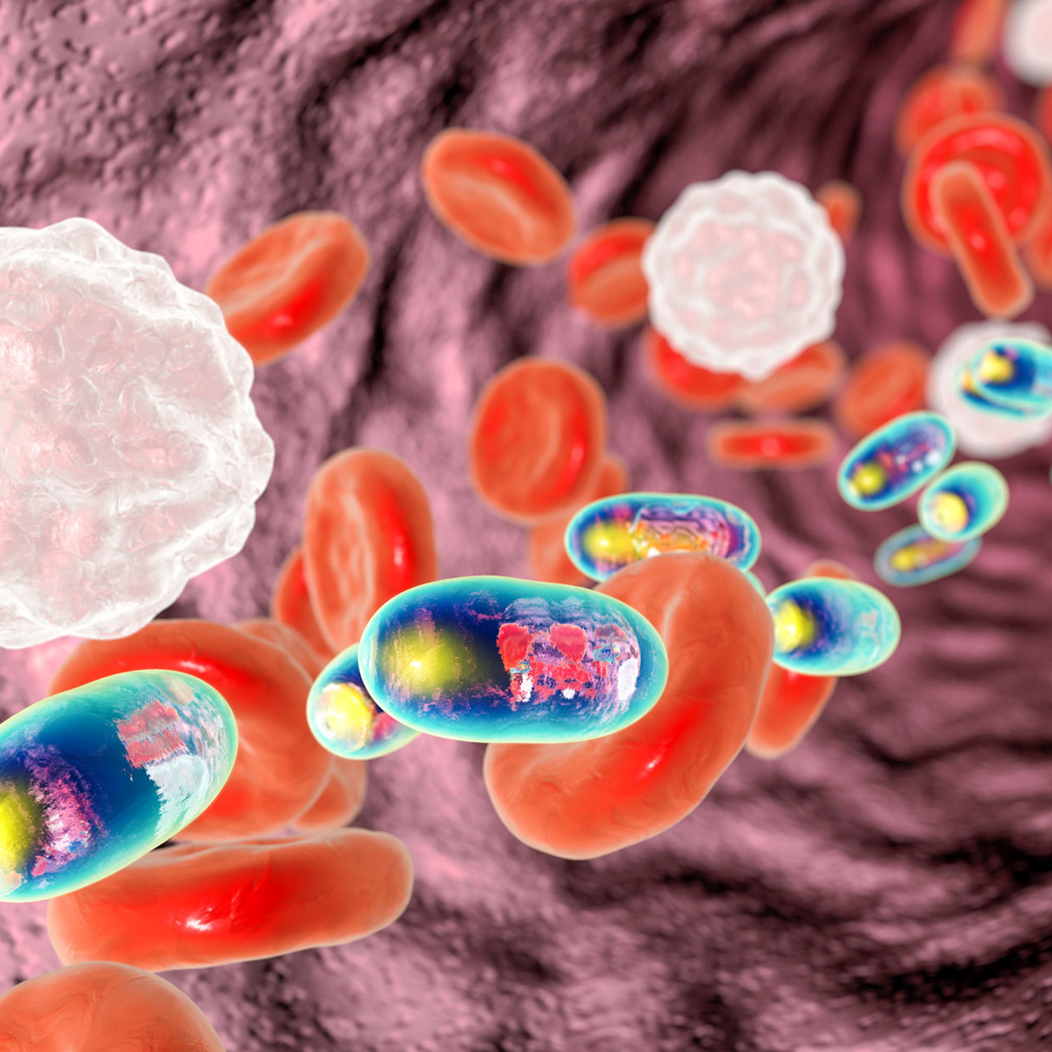 nanomedicine-sq.jpg