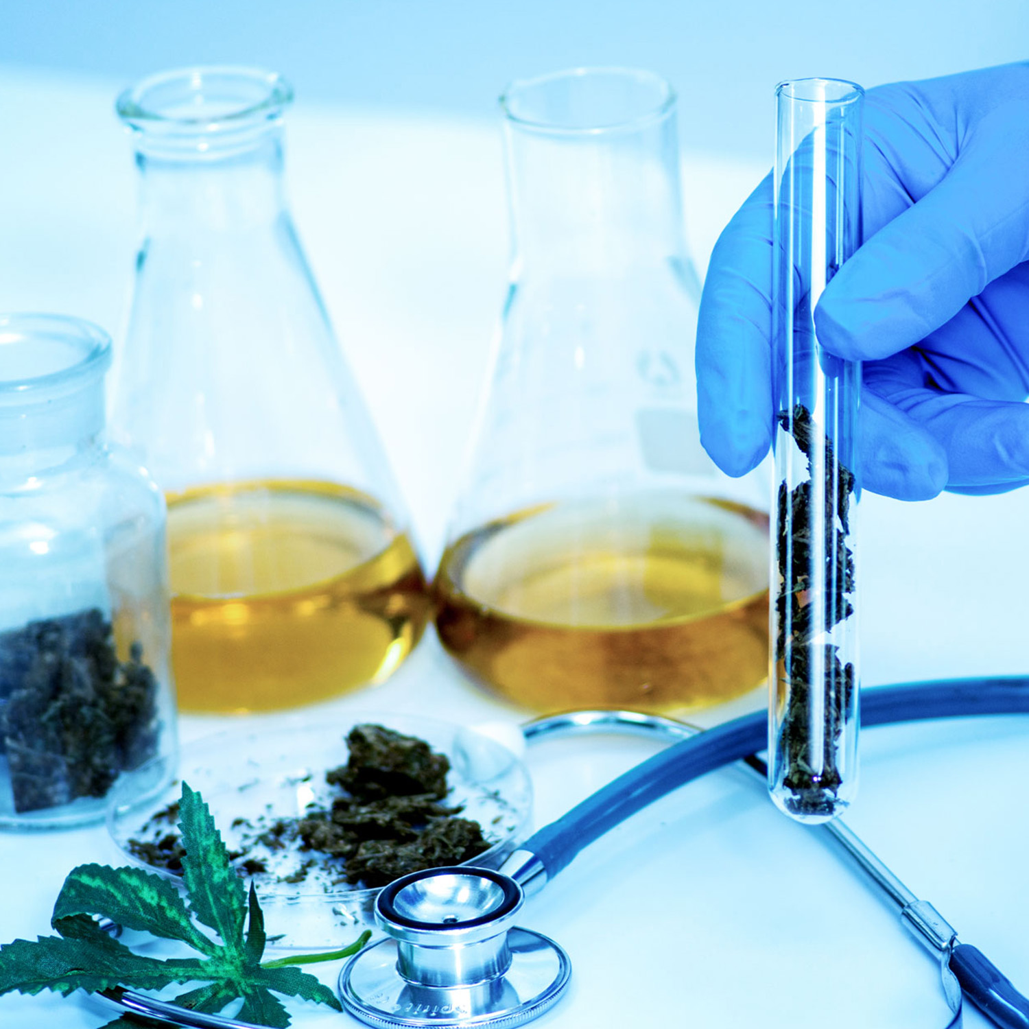 traditional-cannabinoid-sq.jpg