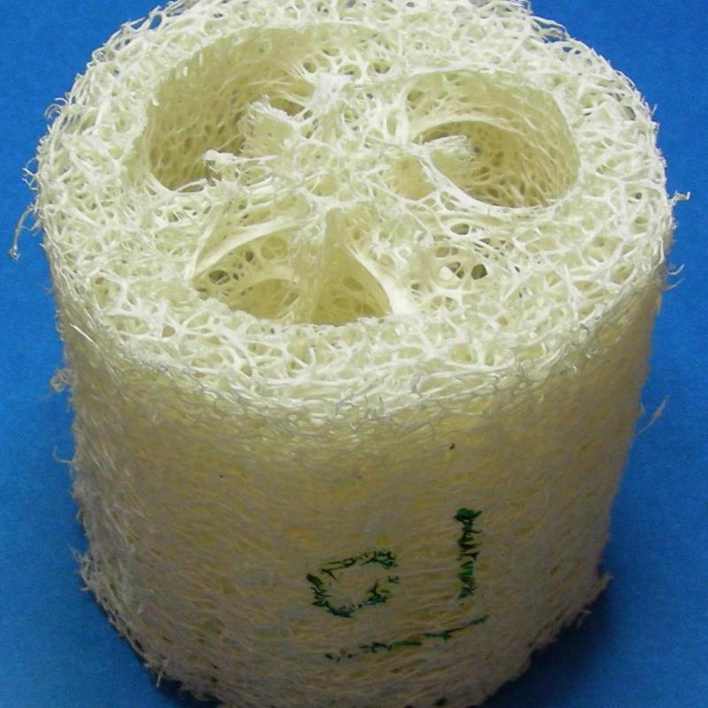 Luffa sponge.