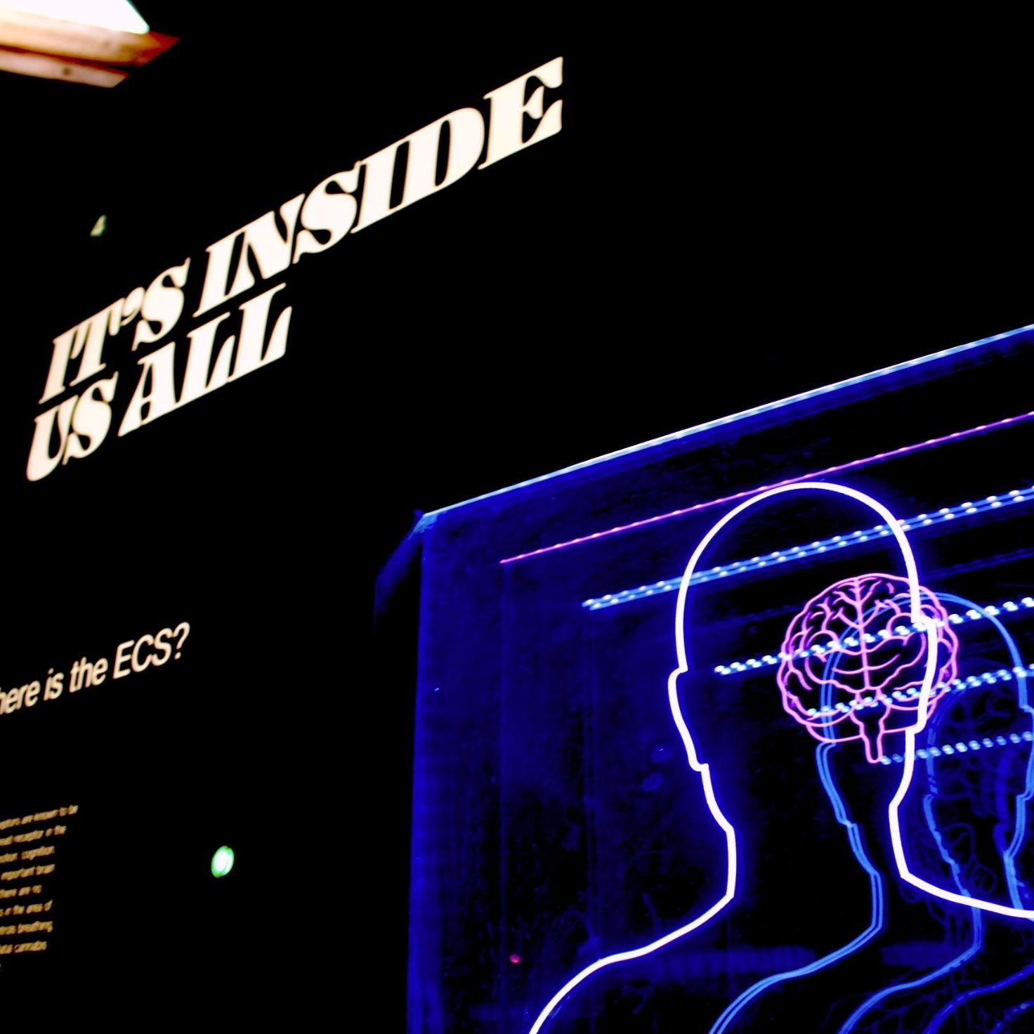 Behavioural Business Lab