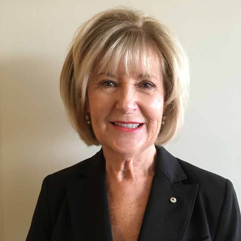 Sue Lloyd-Williams photo