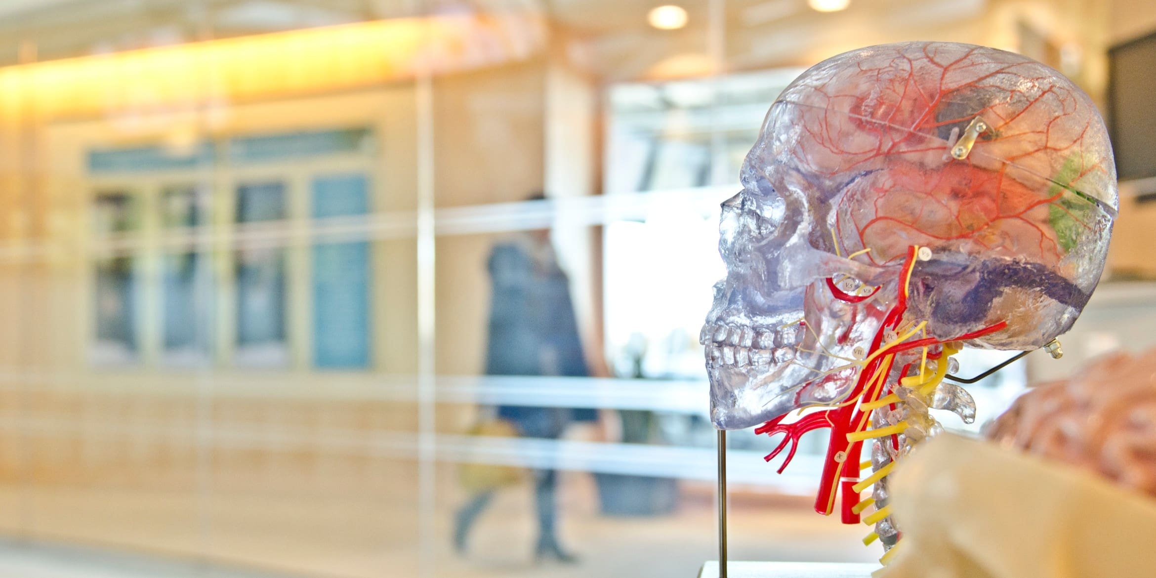 Health and Biomedical Sciences