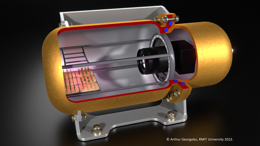 Artistic rendering of the ALEPH-1 capsule with cutaway view showing seedlings and camera inside. Copyright: Arthur Georgalas, RMIT University 2022.