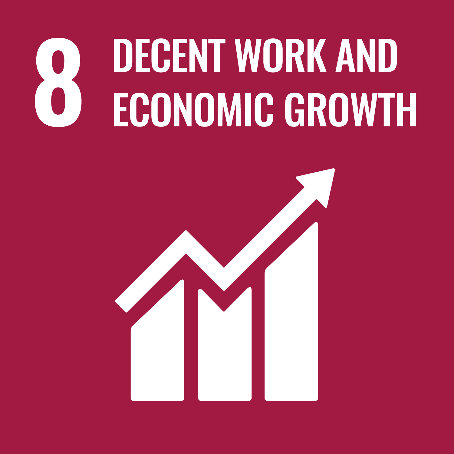 Goal 8: Promote sustained, inclusive and sustainable economic growth, full and productive employment and decent work for all