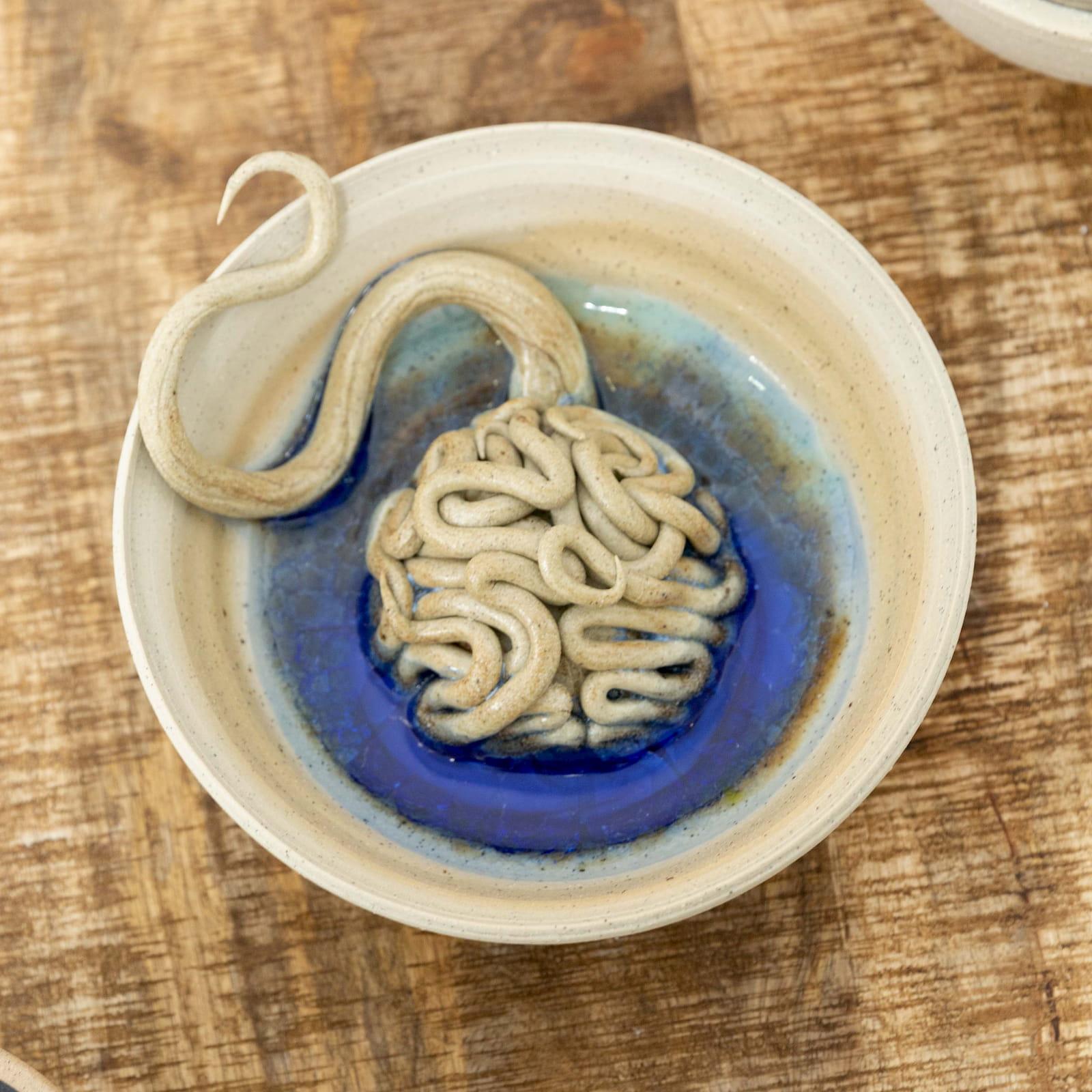 A photo of a ceramic sculpture resembling a brain in a bowl with a tendril creeping out