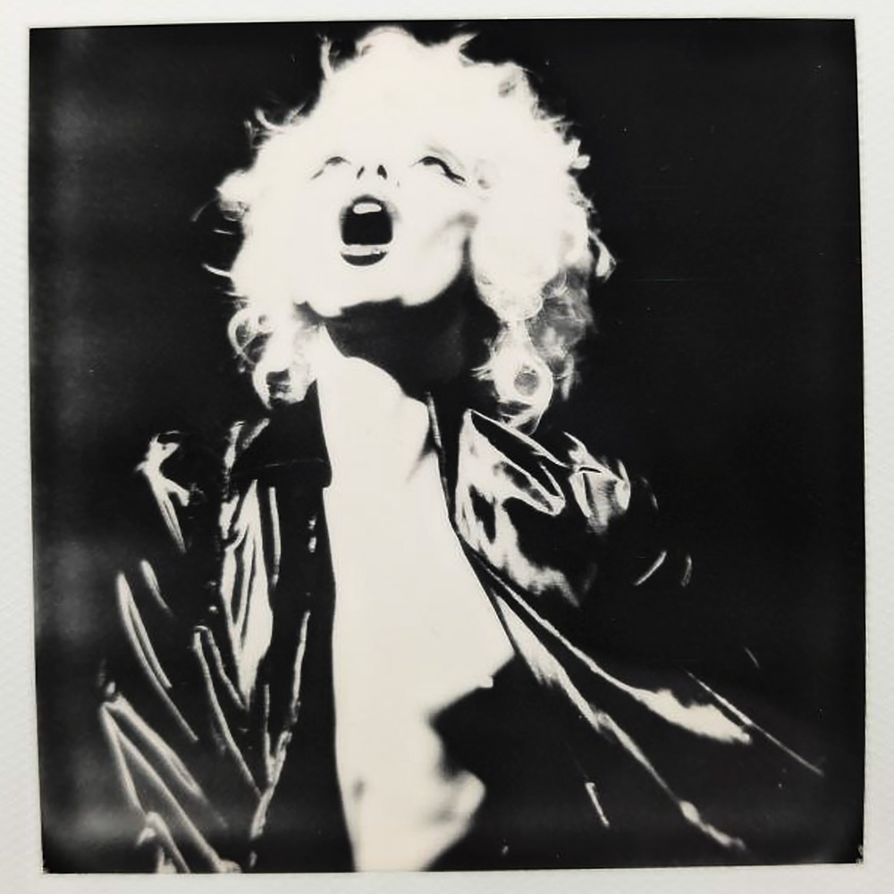 Leideritz, Brent. 2024. Anarchy in the AI polaroid IX. Adelaide, South Australia.