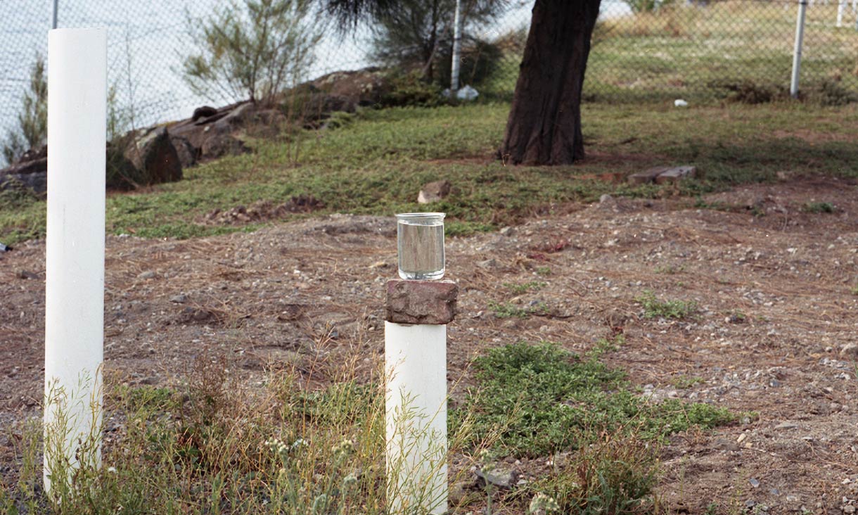 A beaker of water sitting on a white stump. The ground has grass on it, and there’s a fence in the background, with a body of water behind the fence. 