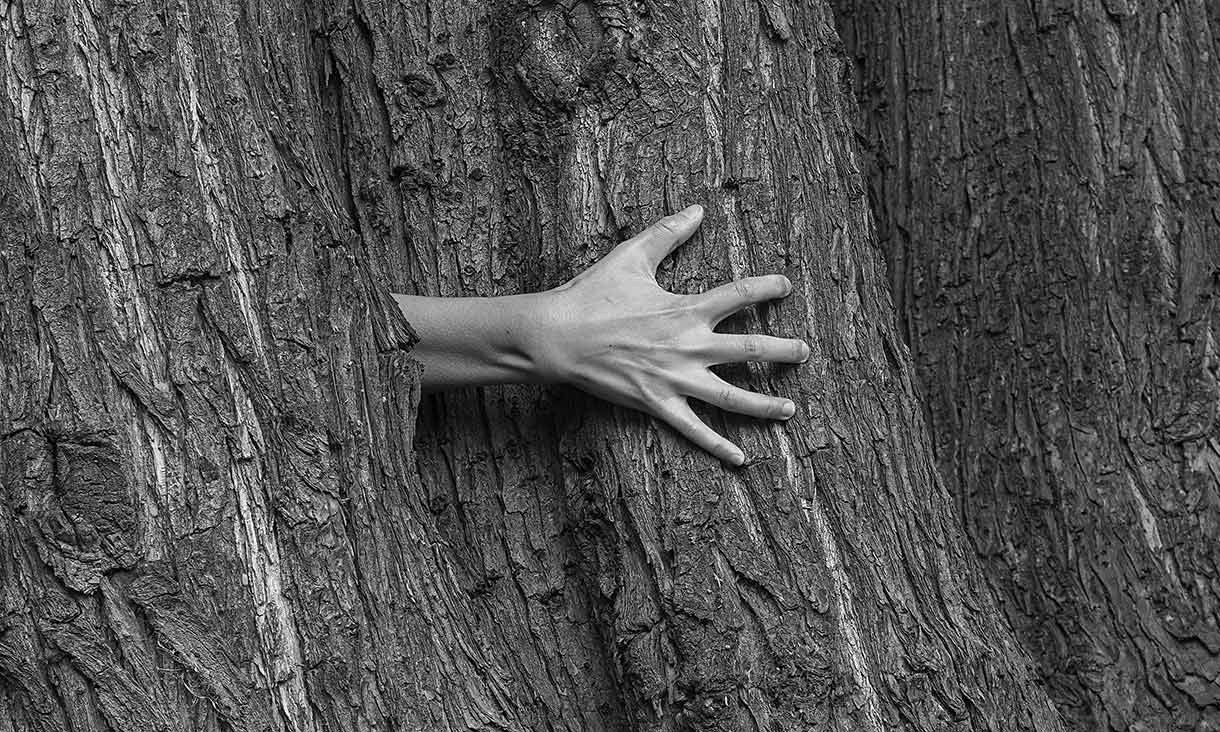 Black and white image of a hand poking out of the middle of a tree. The hand is splayed, and the scale of the tree is large, with rough bark.