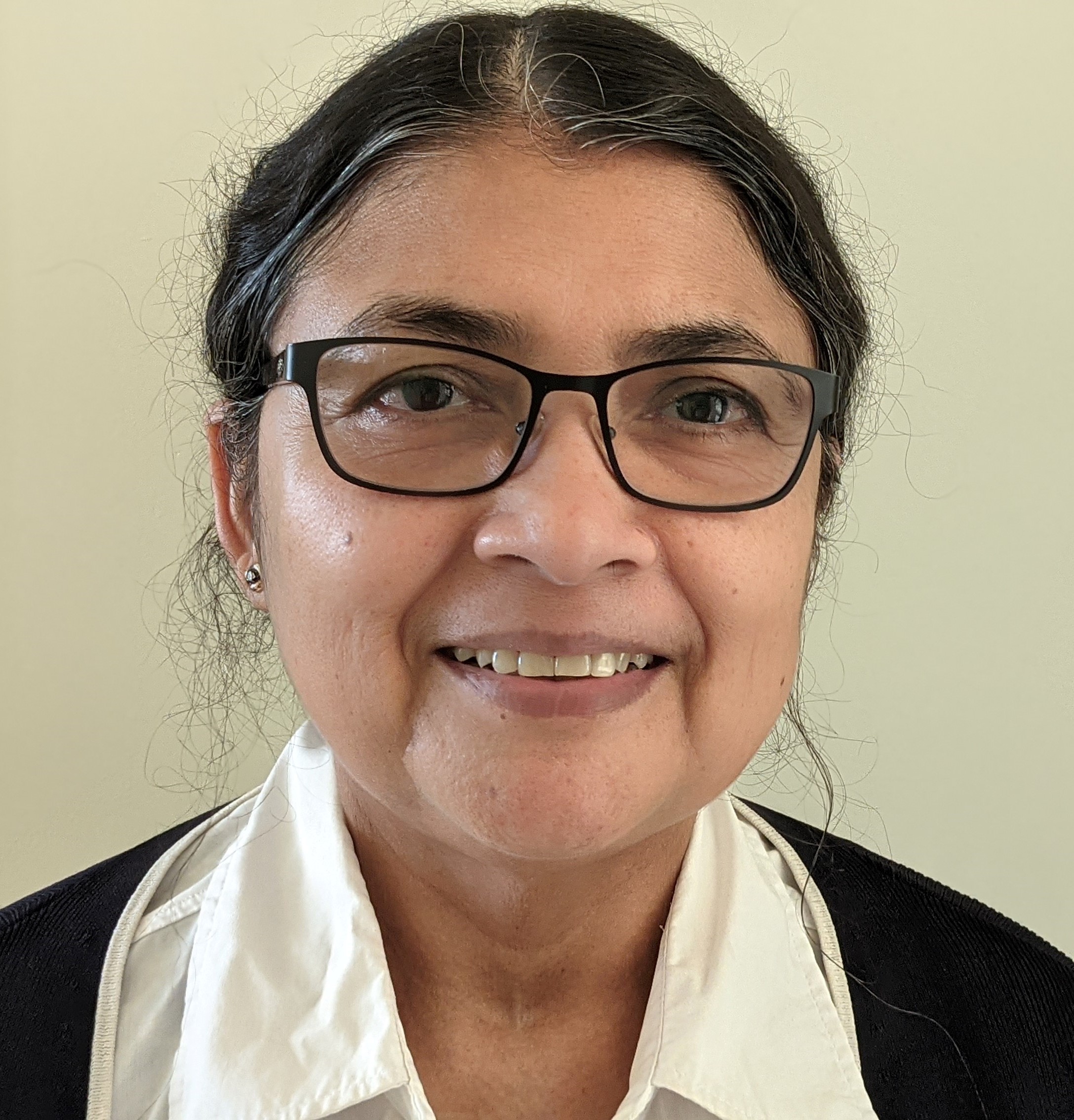 Professor Namita Roy Choudhury — Acting Associate Dean, Chemical and Environmental Engineering