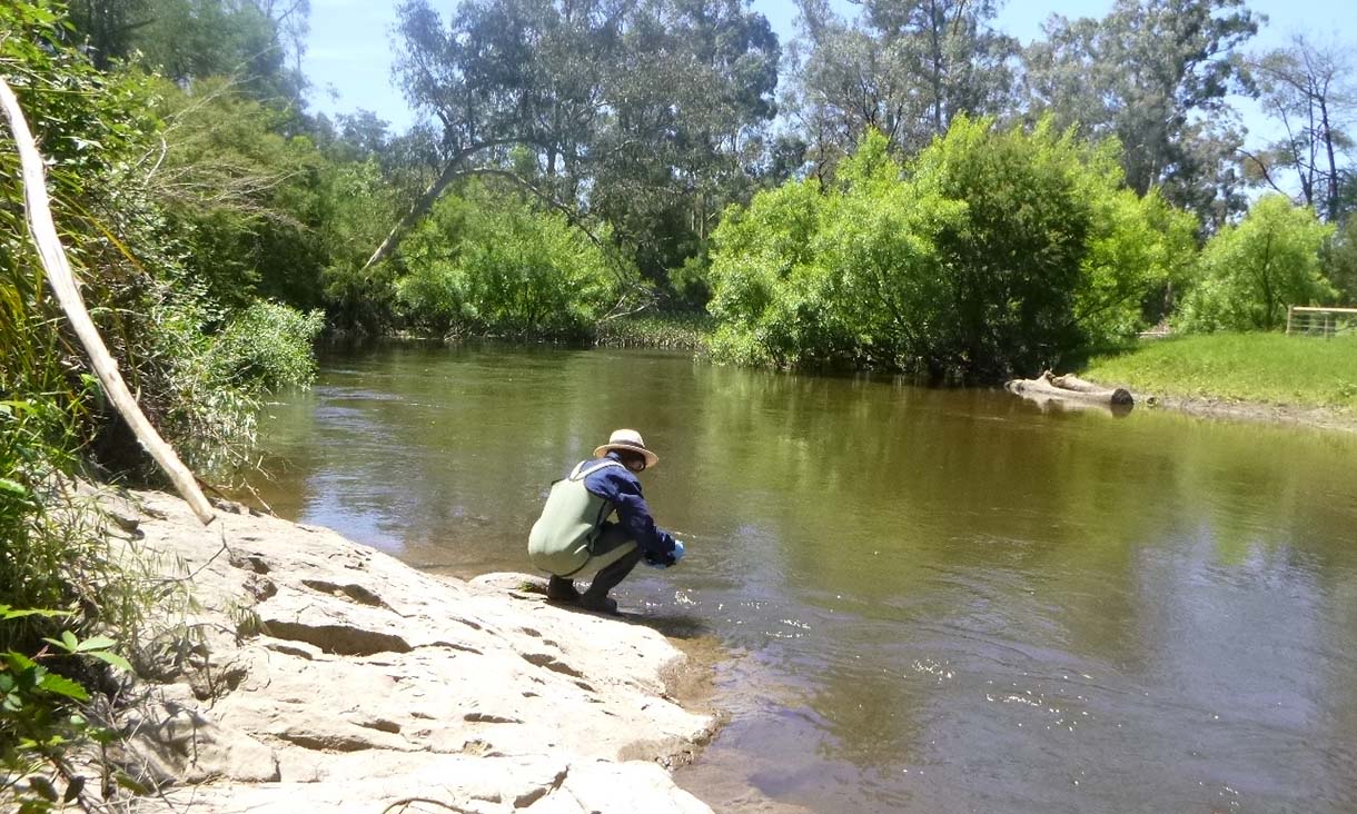 A person kneeling at the bank of a river under bright sunlight, wearing protective gear and collecting water samples. The scene is surrounded by lush greenery and trees.