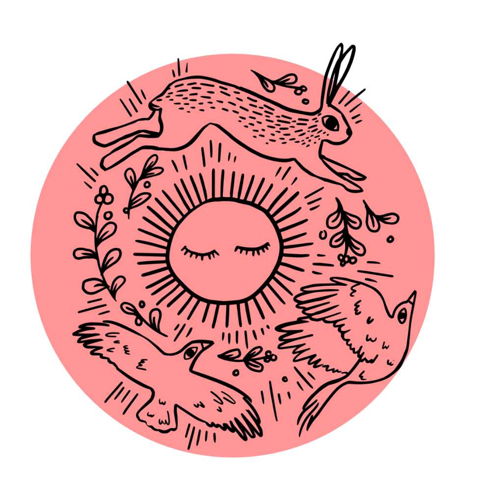 Hare and birds circling sun illustration
