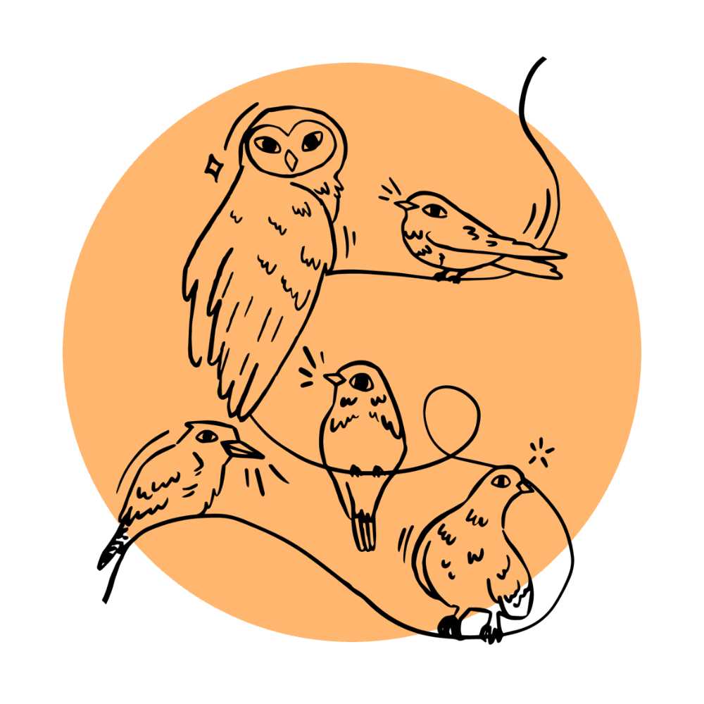 Illustration of owl and birds