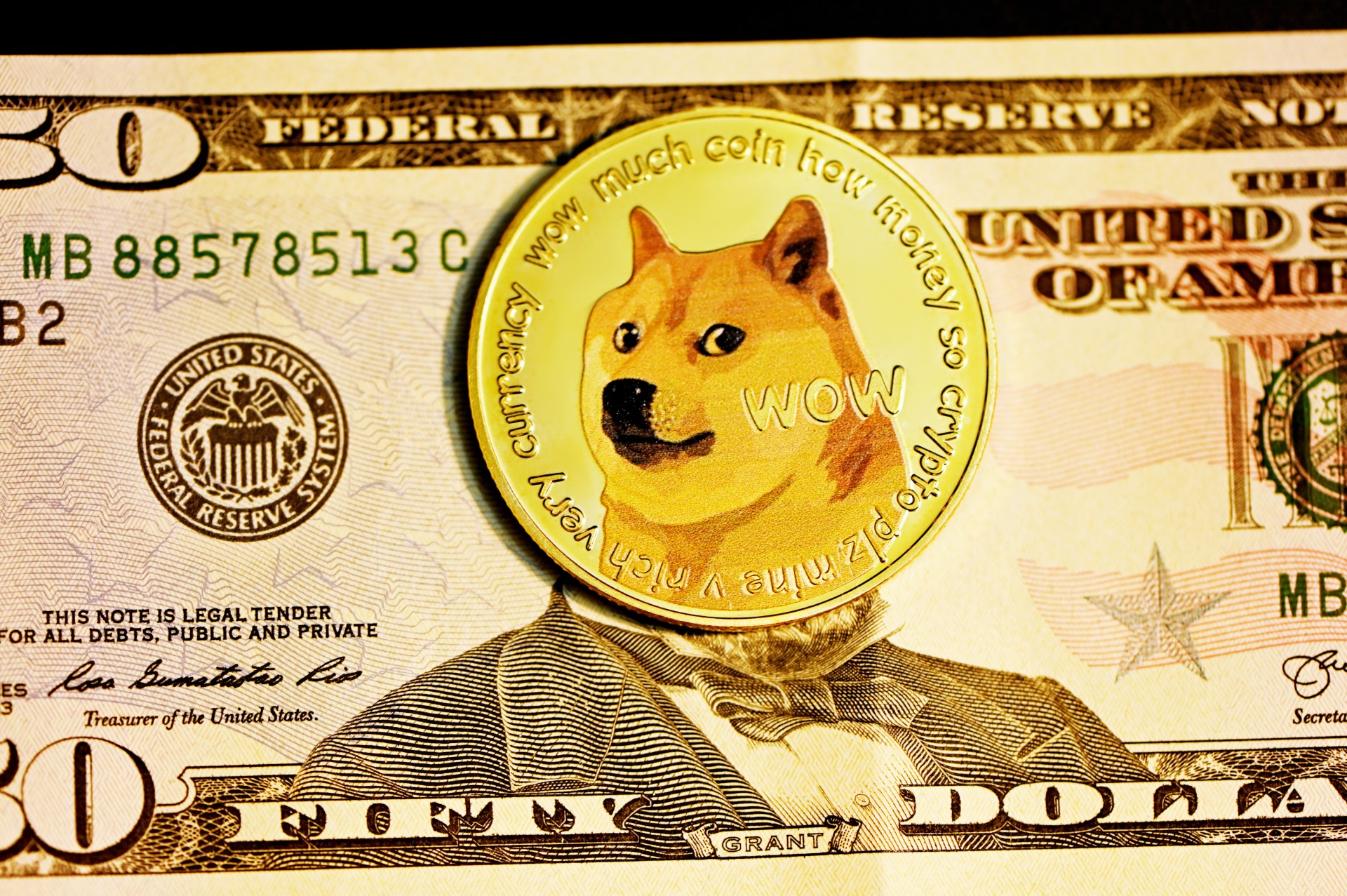 Dogecoin dollar representation