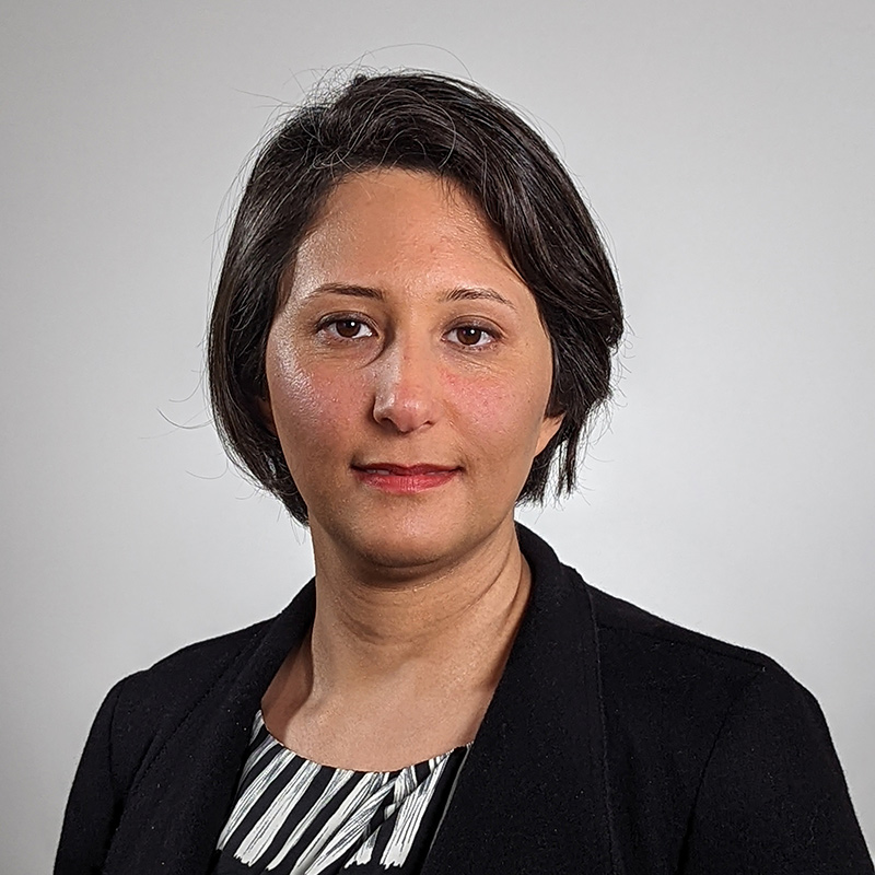 Profile of Dr Aida Ghalebeigi
