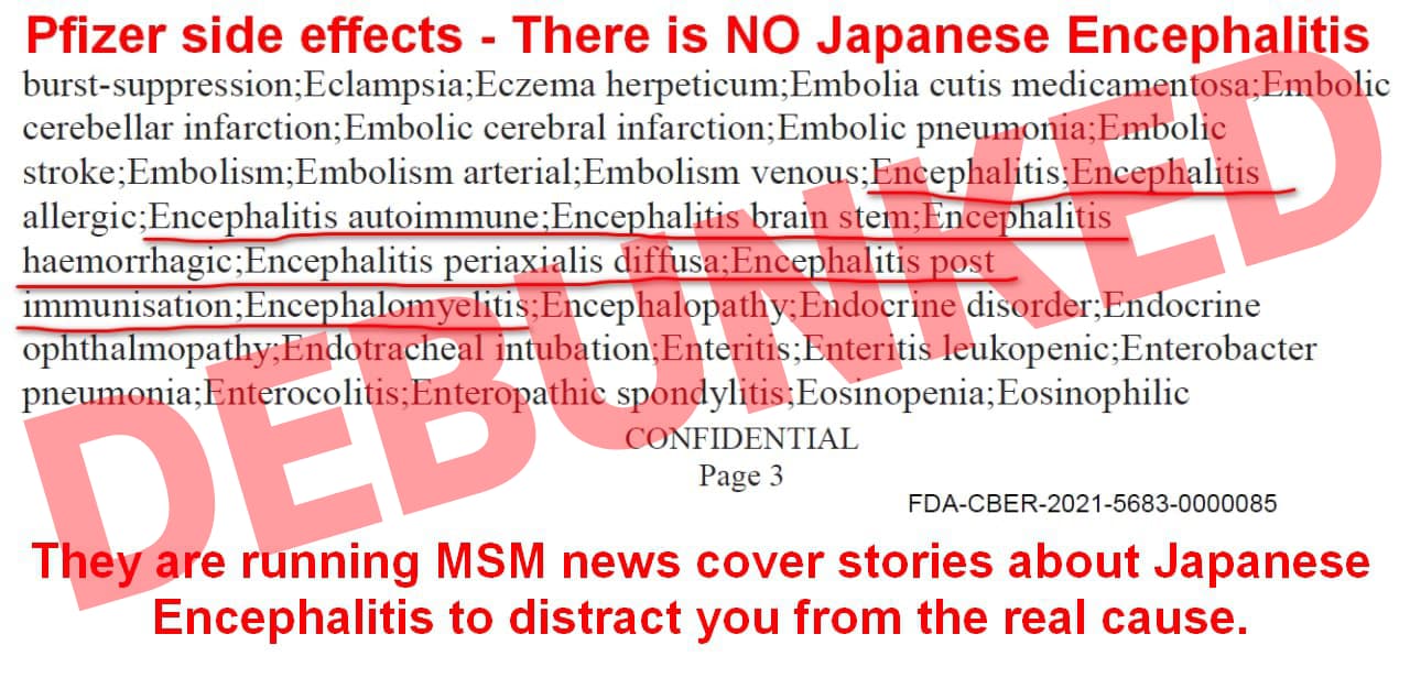 Japanese encephalitis news story with debunked stamp across it