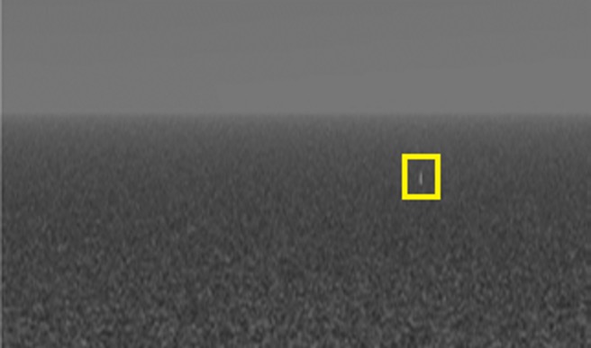 Greyscale horizon with yellow box detecting white vertical post