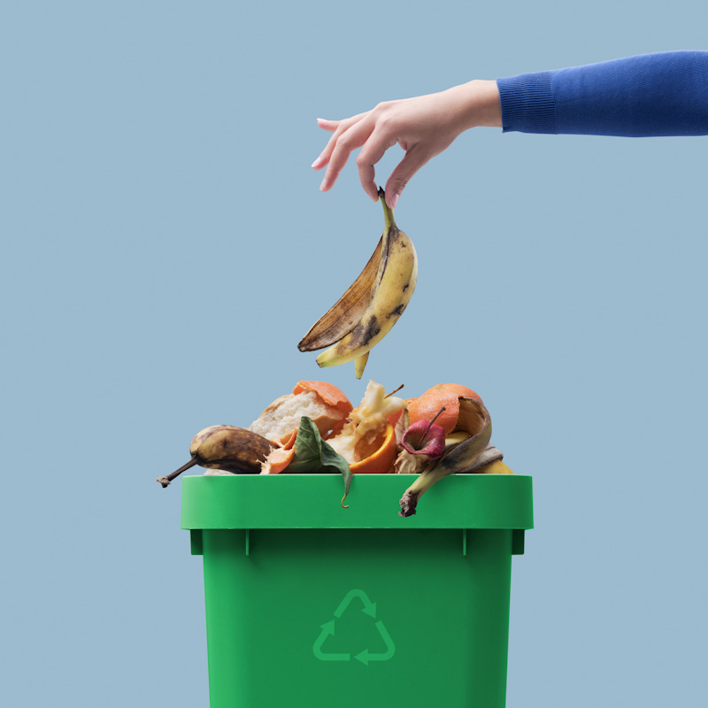 c-food-waste-transformation-800x800.jpg